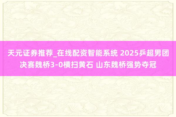 天元证券推荐_在线配资智能系统 2025乒超男团决赛魏桥3-0横扫黄石 山东魏桥强势夺冠