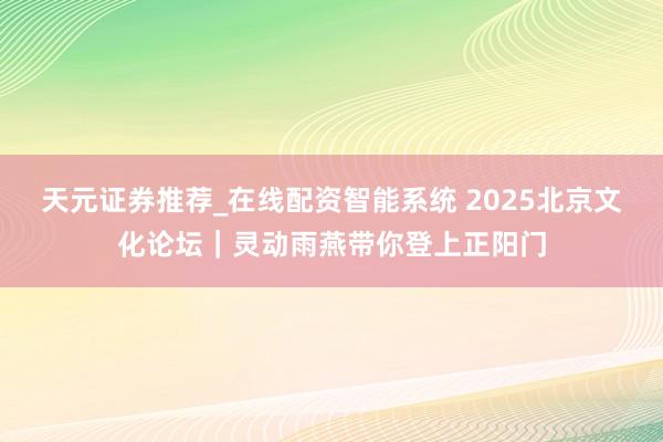 天元证券推荐_在线配资智能系统 2025北京文化论坛｜灵动雨燕带你登上正阳门